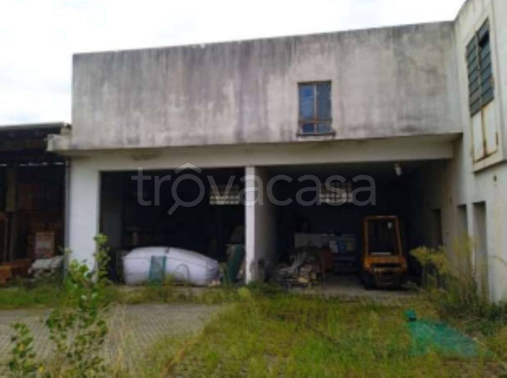 immagine annuncio 4 di 11