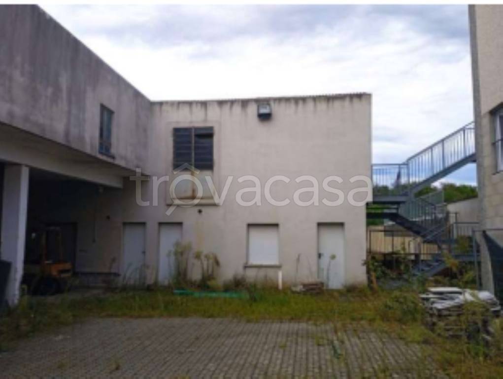 immagine annuncio 5 di 11