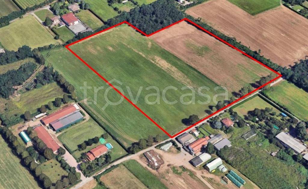 immagine annuncio 10 di 11