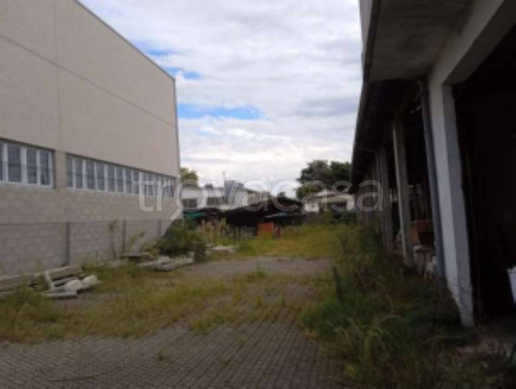 immagine annuncio 10 di 11