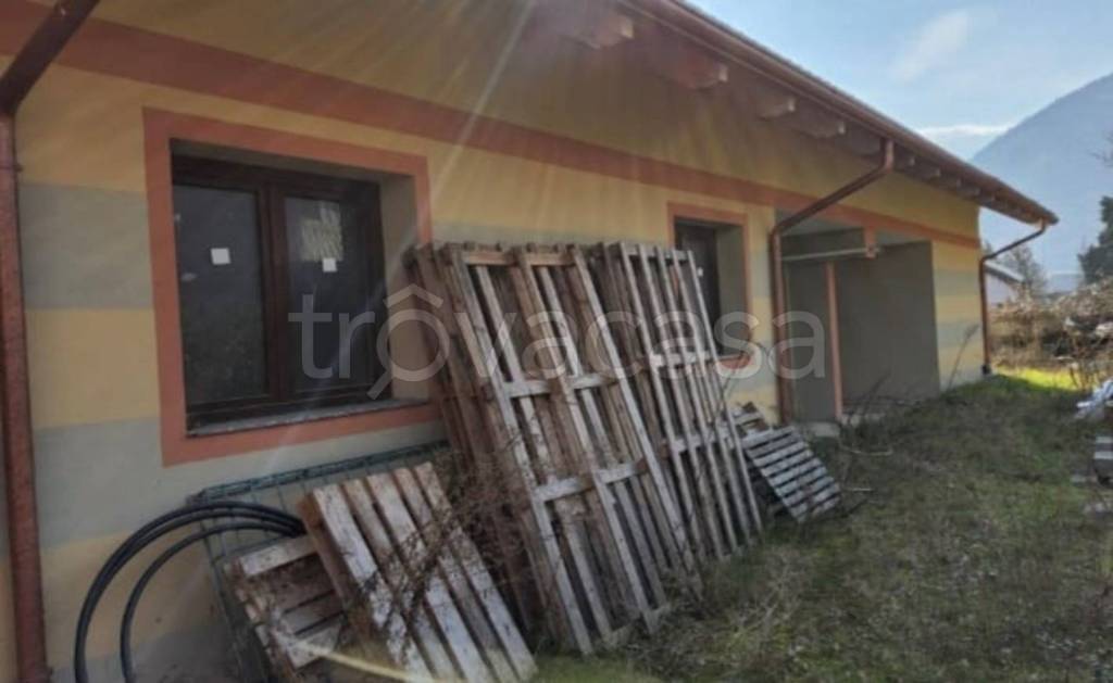 immagine annuncio 1 di 12