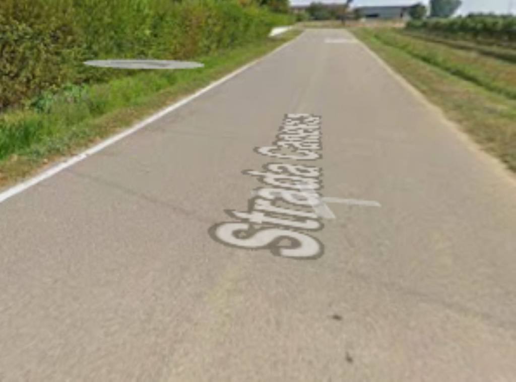 immagine annuncio 3 di 11