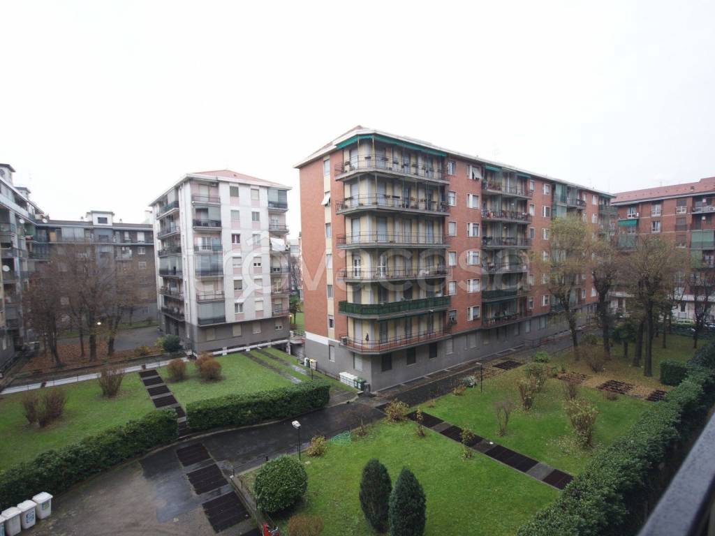 immagine annuncio 4 di 14