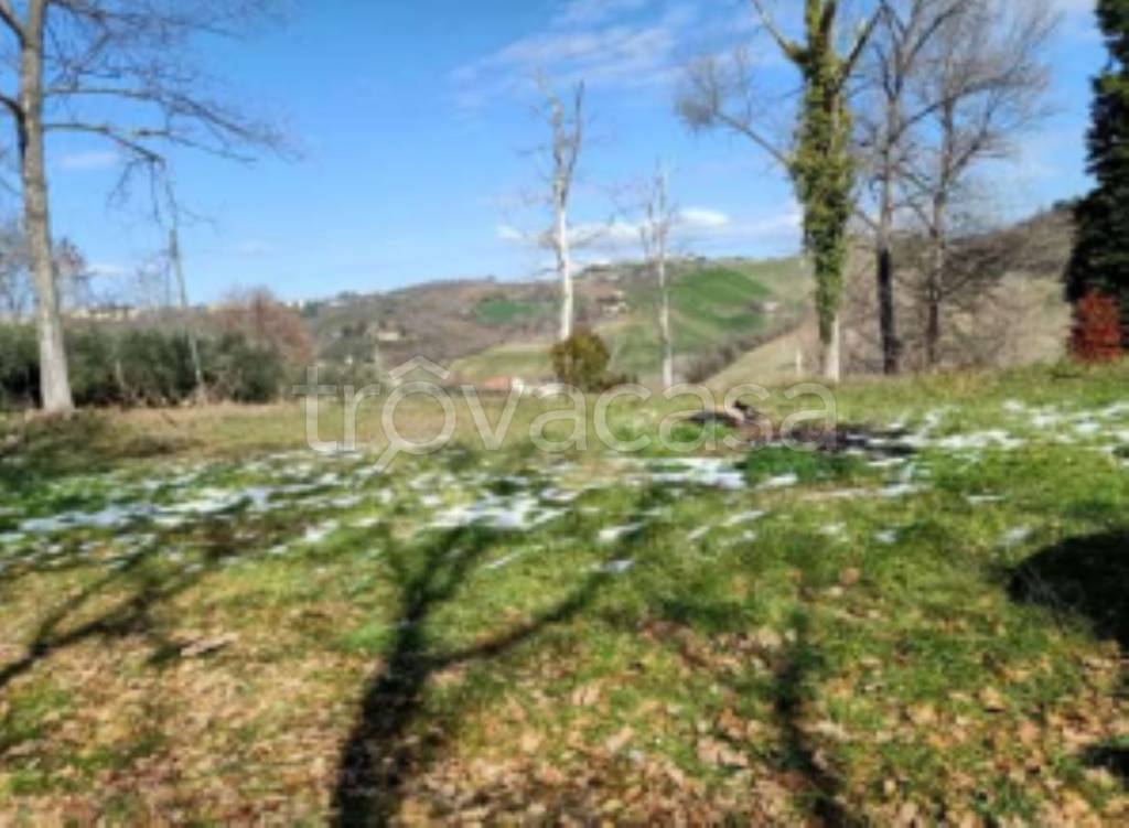 immagine annuncio 8 di 11