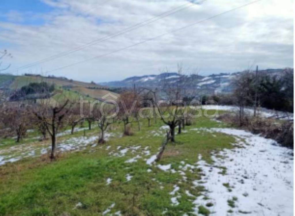 immagine annuncio 10 di 11