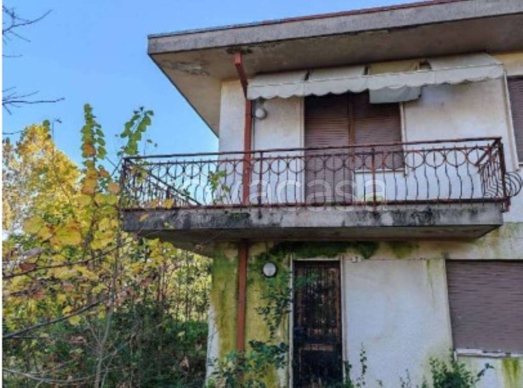 immagine annuncio 5 di 11