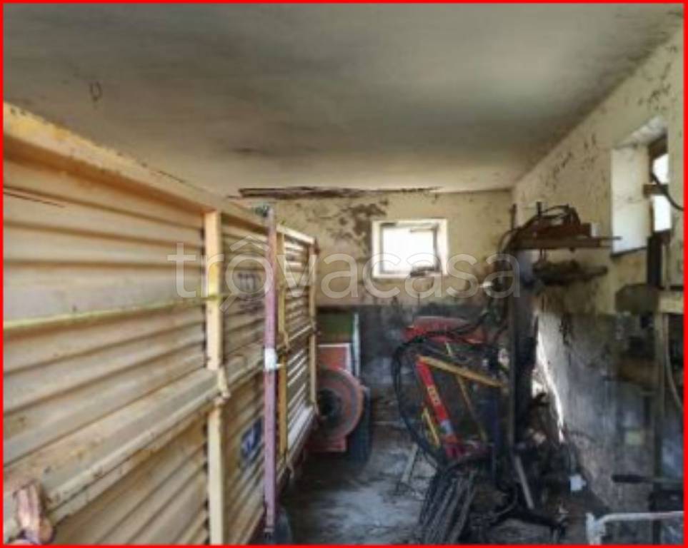 immagine annuncio 10 di 14