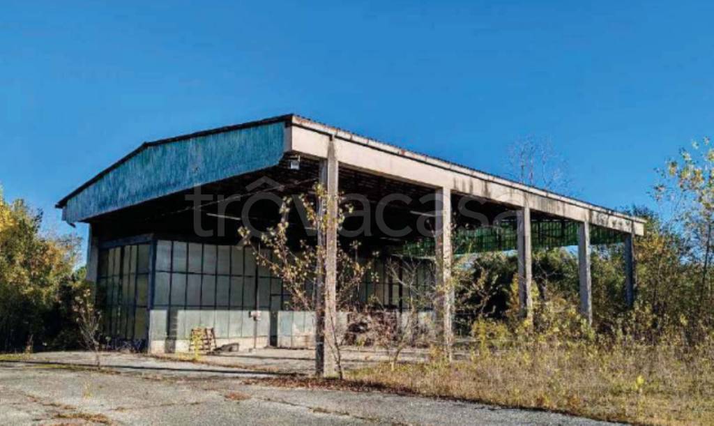 immagine annuncio 2 di 8