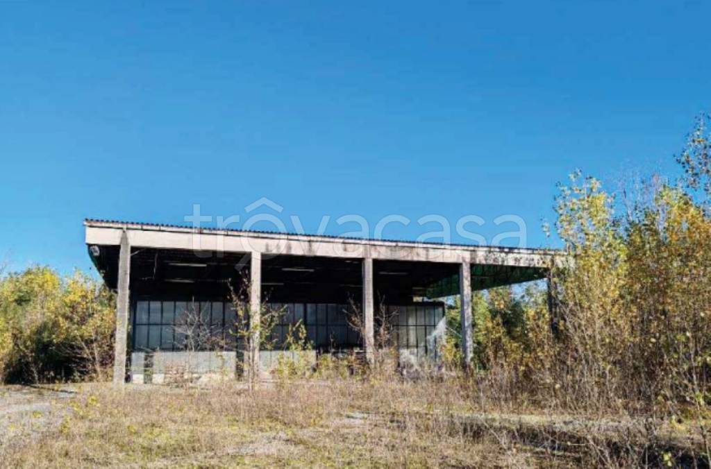 immagine annuncio 3 di 8