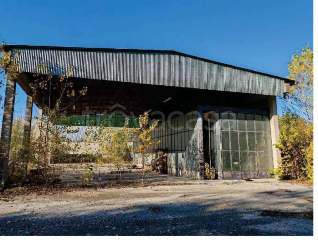 immagine annuncio 4 di 8