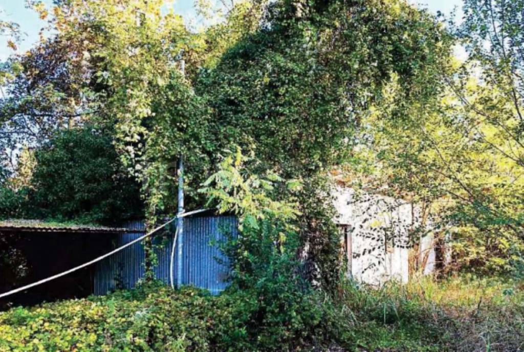 immagine annuncio 5 di 8