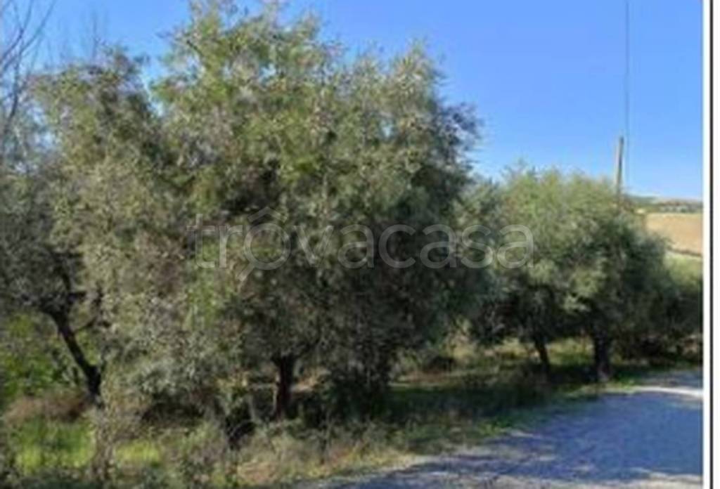 immagine annuncio 5 di 9