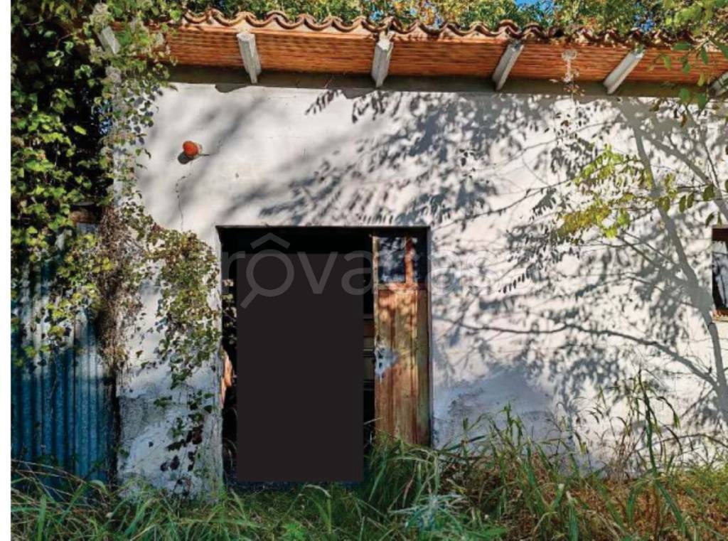 immagine annuncio 7 di 8