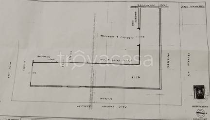 immagine annuncio 5 di 6