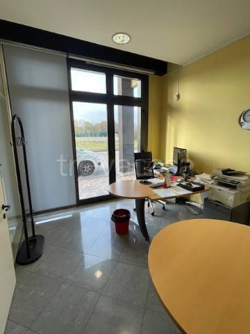 immagine annuncio 9 di 12