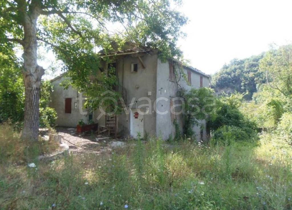 immagine annuncio 4 di 6