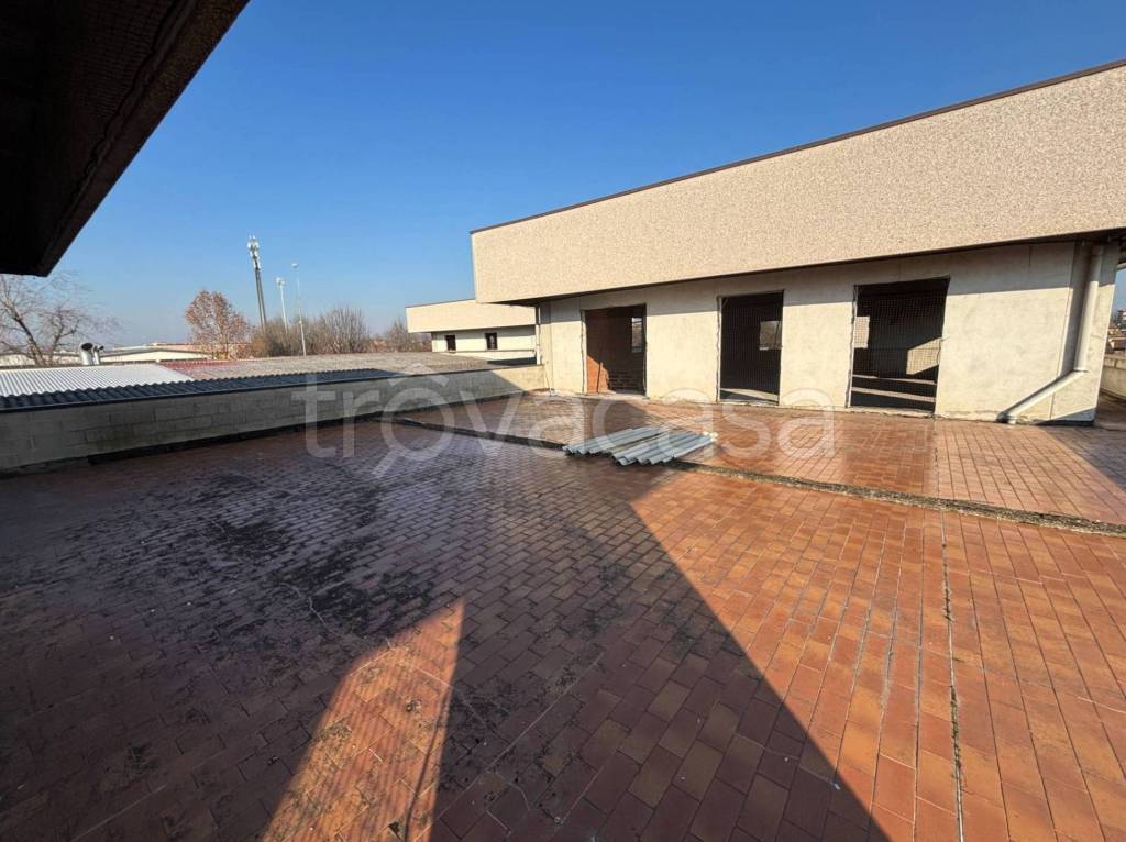 immagine annuncio 6 di 13