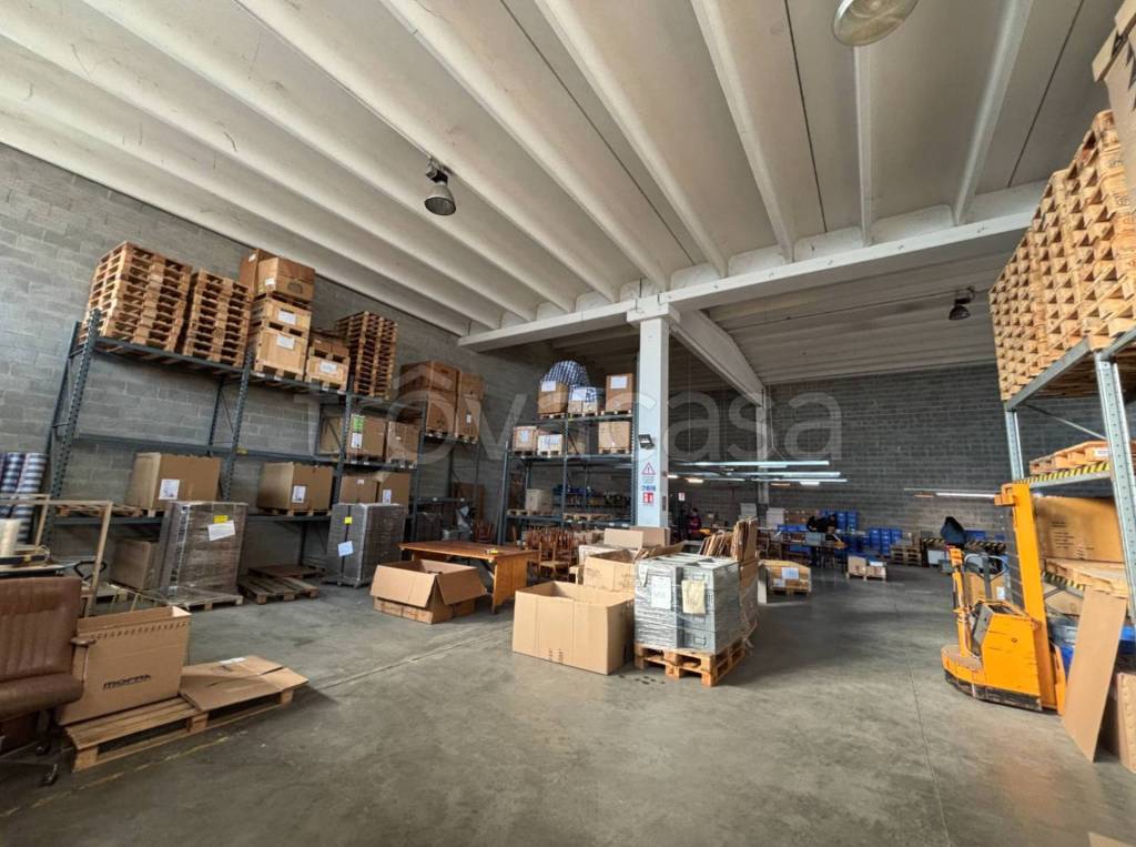 immagine annuncio 7 di 13