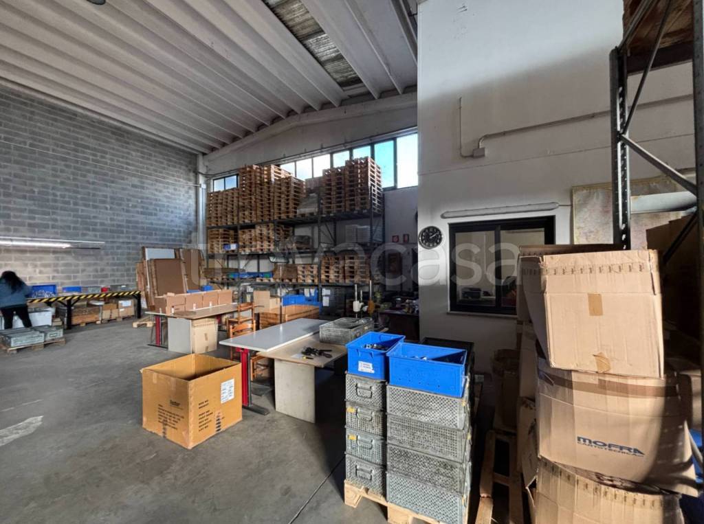 immagine annuncio 10 di 13