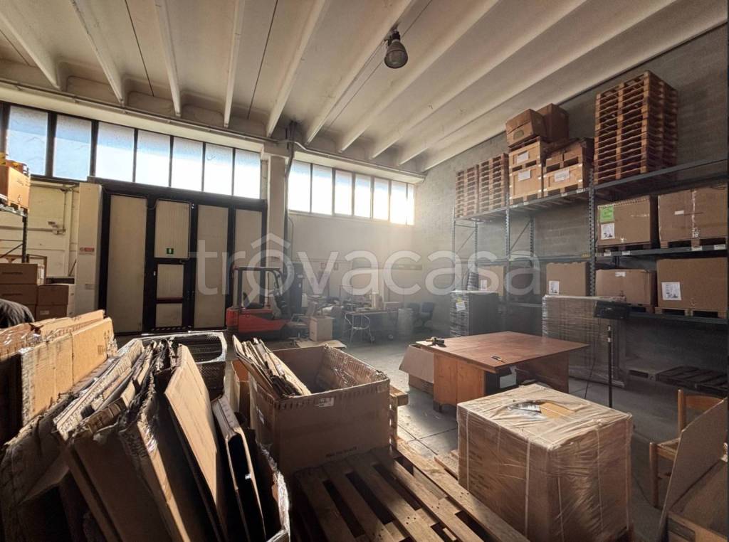 immagine annuncio 12 di 13