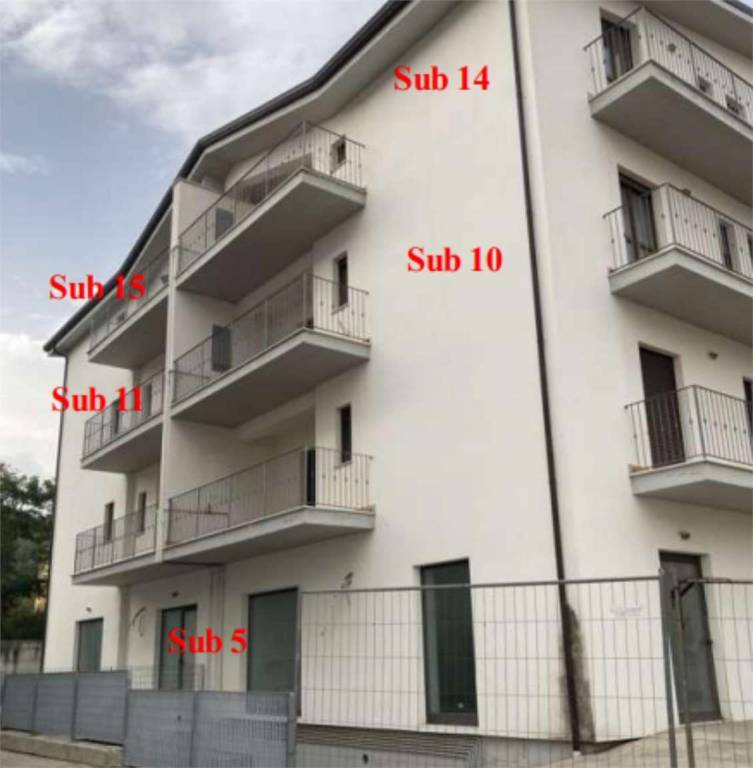 immagine annuncio 1 di 15