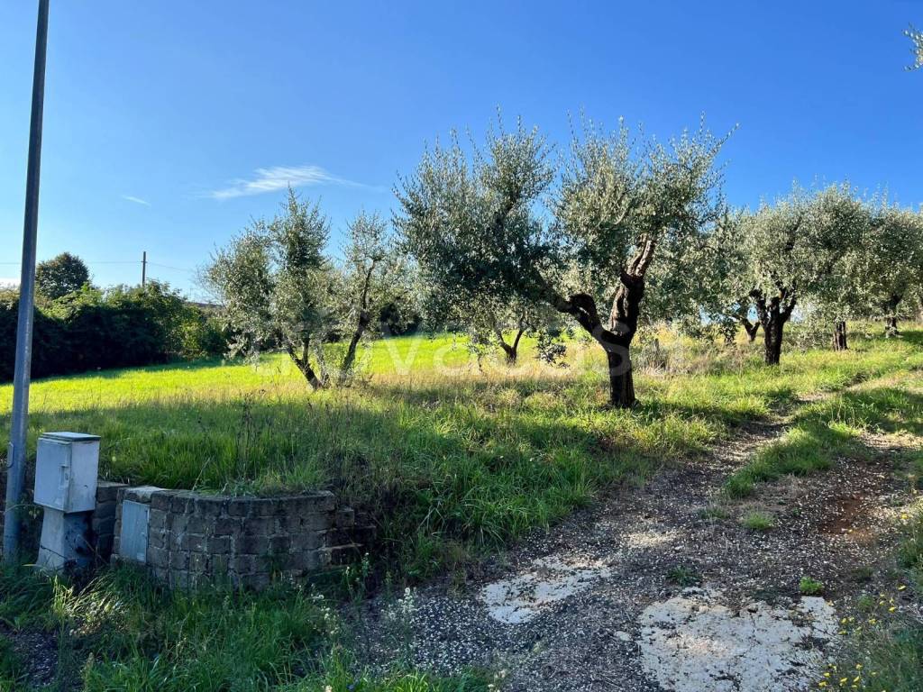 immagine annuncio 8 di 10