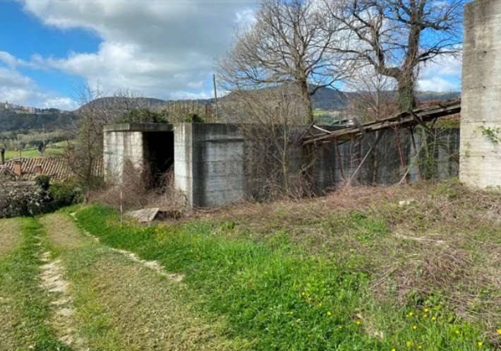 immagine annuncio 5 di 11