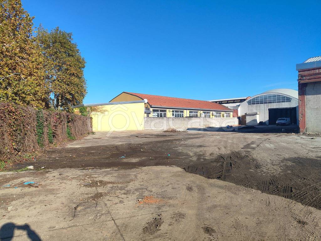 immagine annuncio 12 di 15