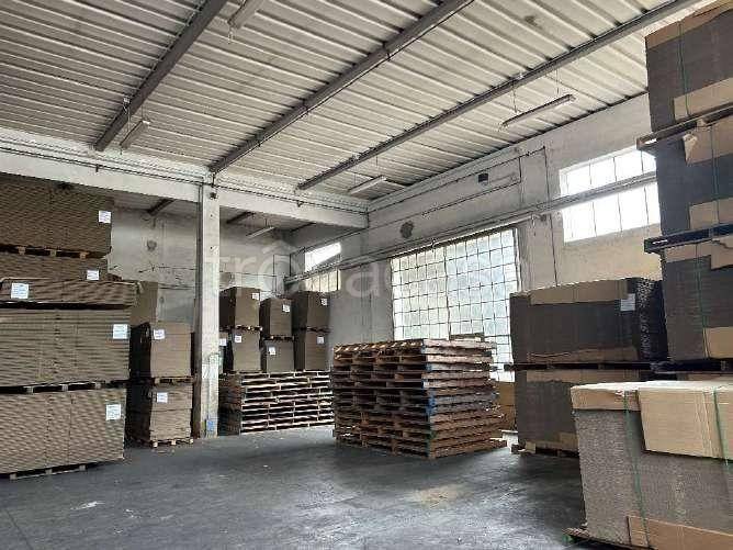 immagine annuncio 8 di 11