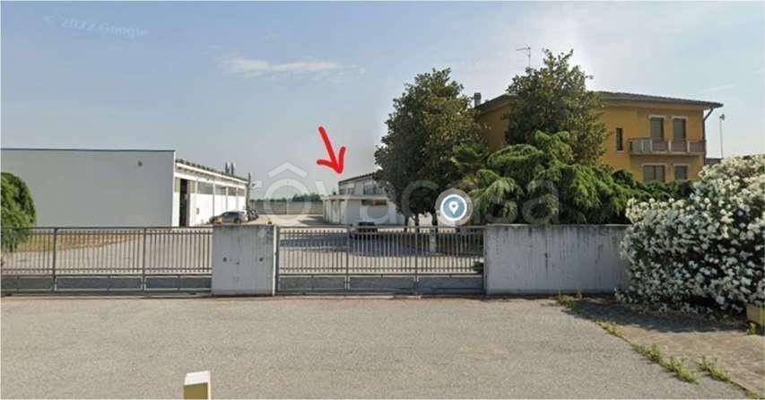 immagine annuncio 4 di 11