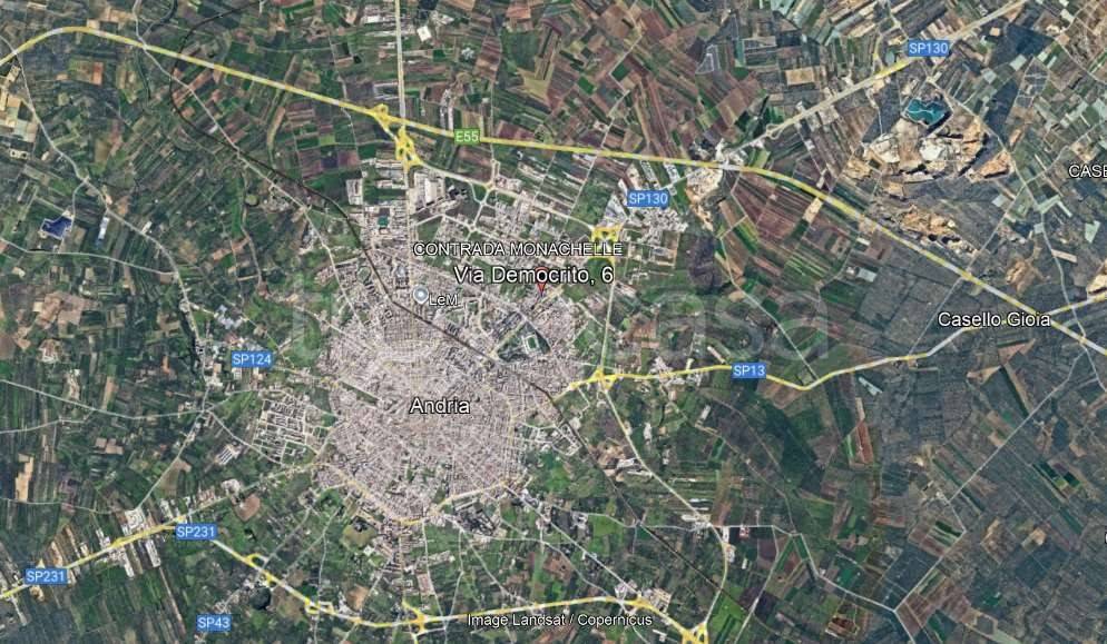 immagine annuncio 11 di 15