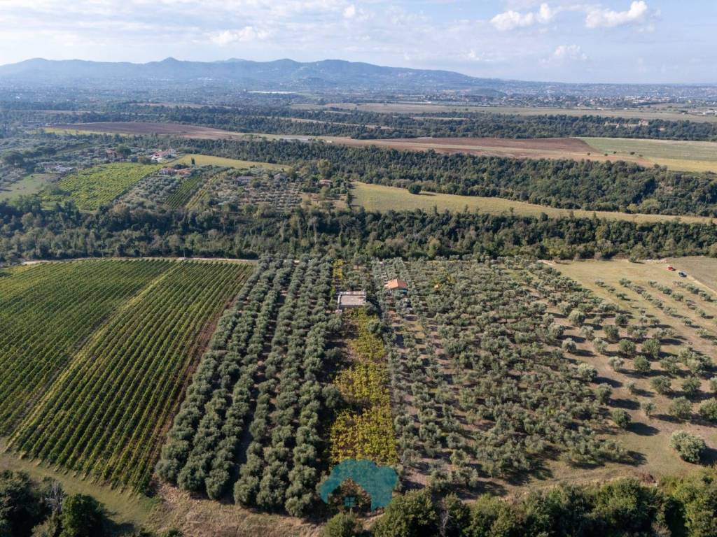 immagine annuncio 10 di 14