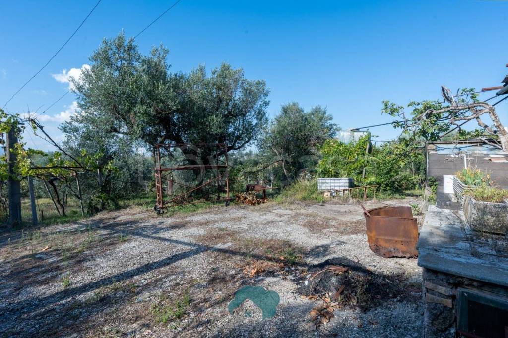 immagine annuncio 5 di 14