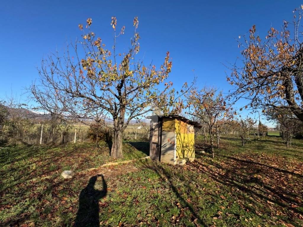 immagine annuncio 1 di 13