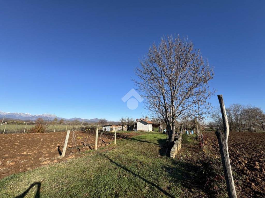 immagine annuncio 2 di 13