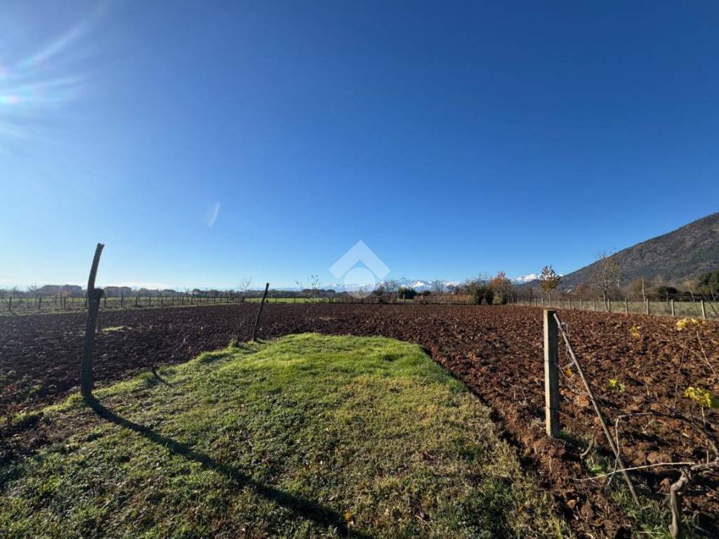 immagine annuncio 3 di 13