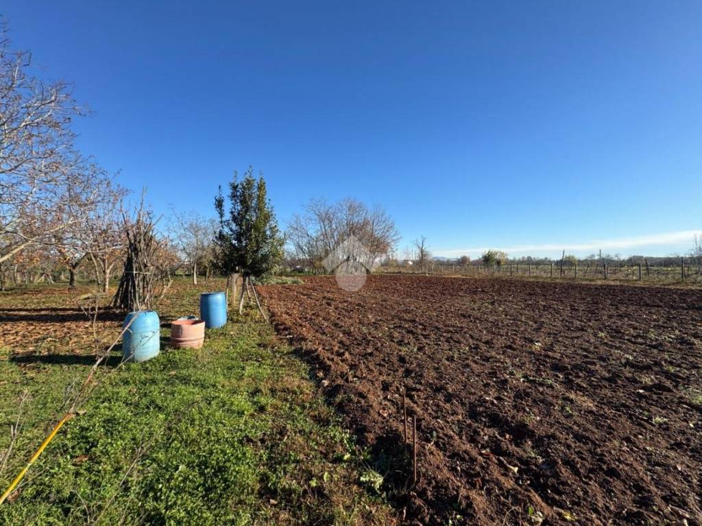 immagine annuncio 4 di 13