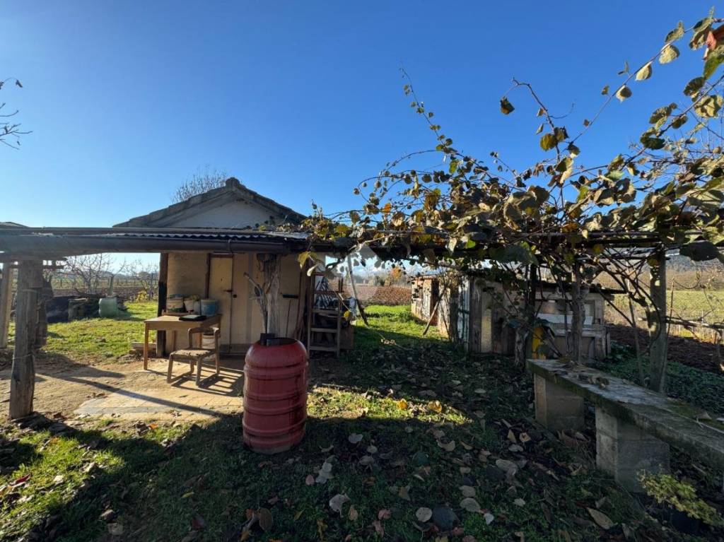 immagine annuncio 5 di 13