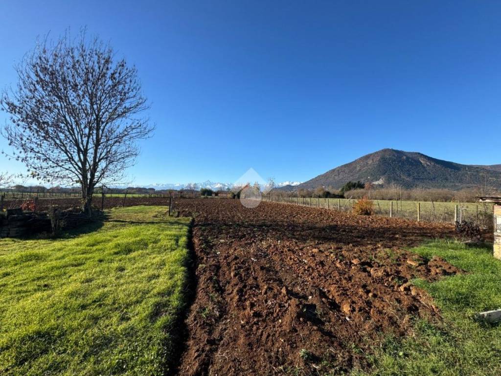 immagine annuncio 7 di 13