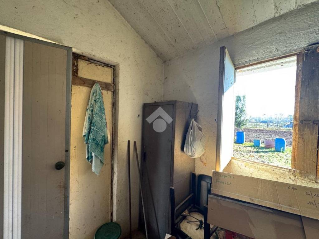 immagine annuncio 8 di 13