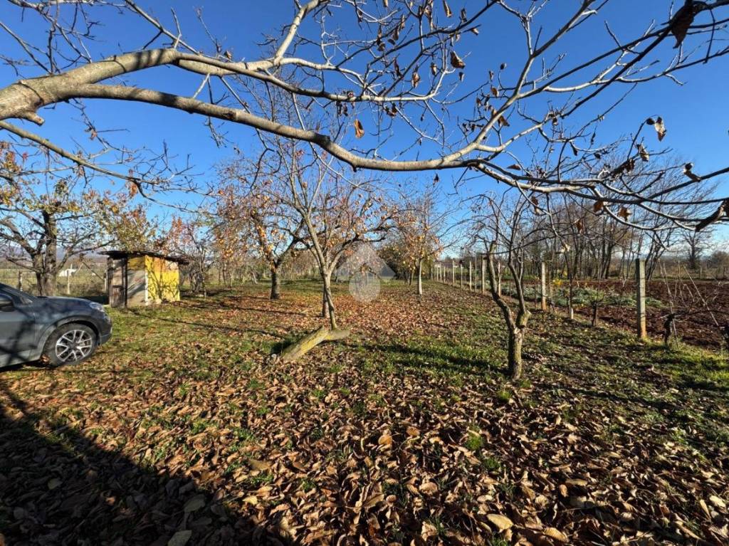 immagine annuncio 10 di 13