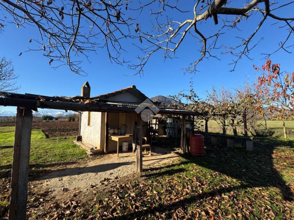 immagine annuncio 11 di 13