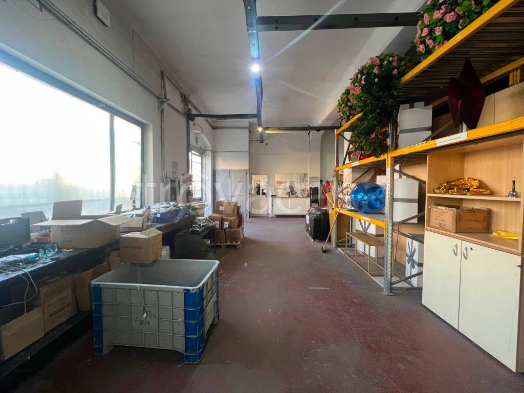 immagine annuncio 12 di 15