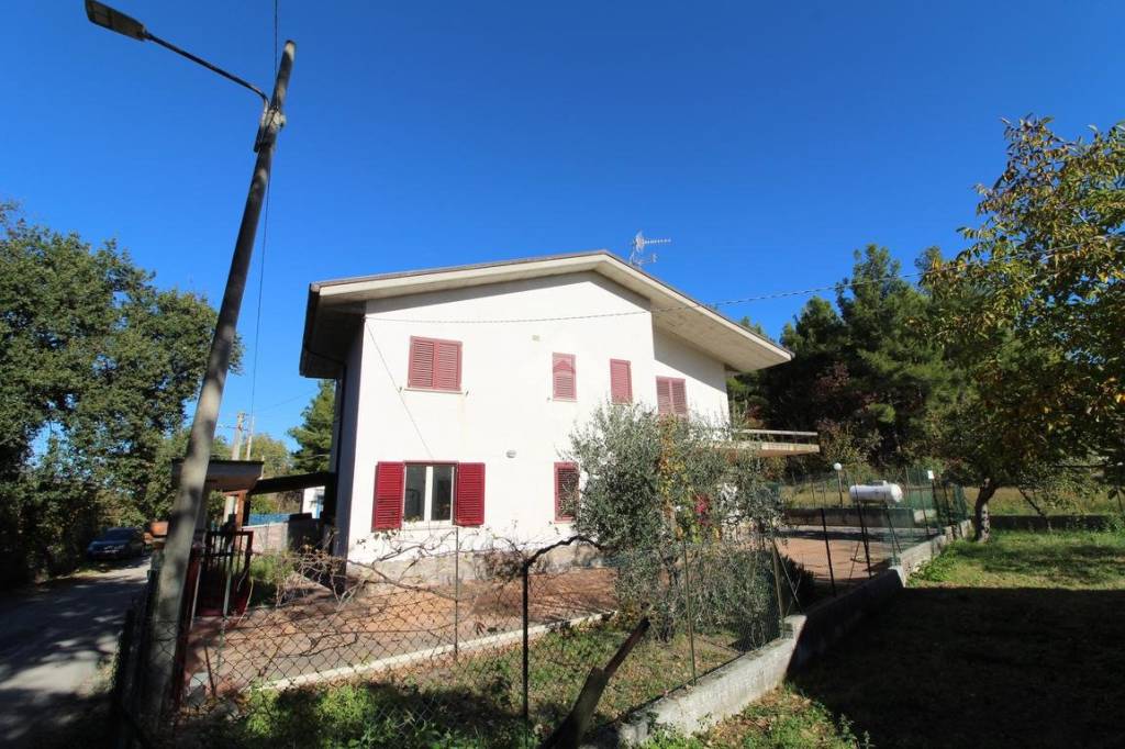 immagine annuncio 8 di 11