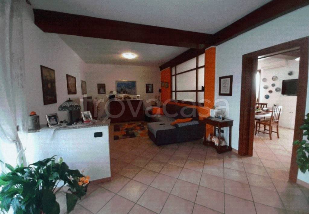 immagine annuncio 7 di 13