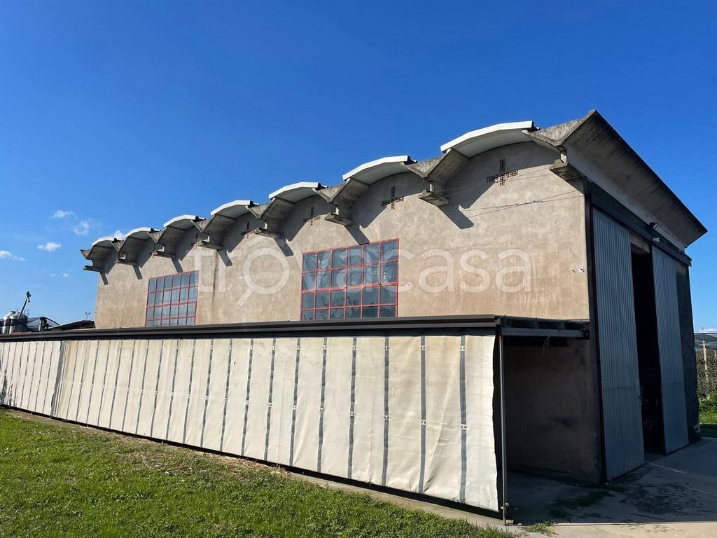 immagine annuncio 2 di 4