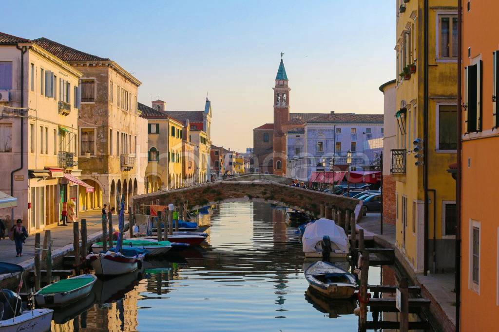 immagine annuncio 6 di 11