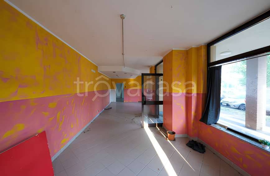 immagine annuncio 9 di 10