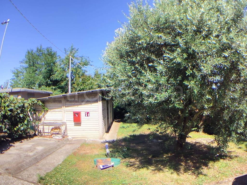 immagine annuncio 7 di 15