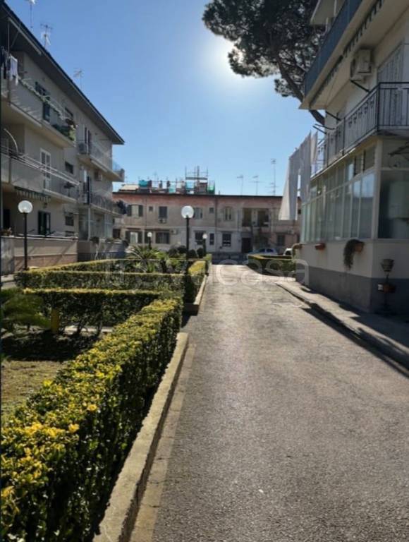 immagine annuncio 3 di 11